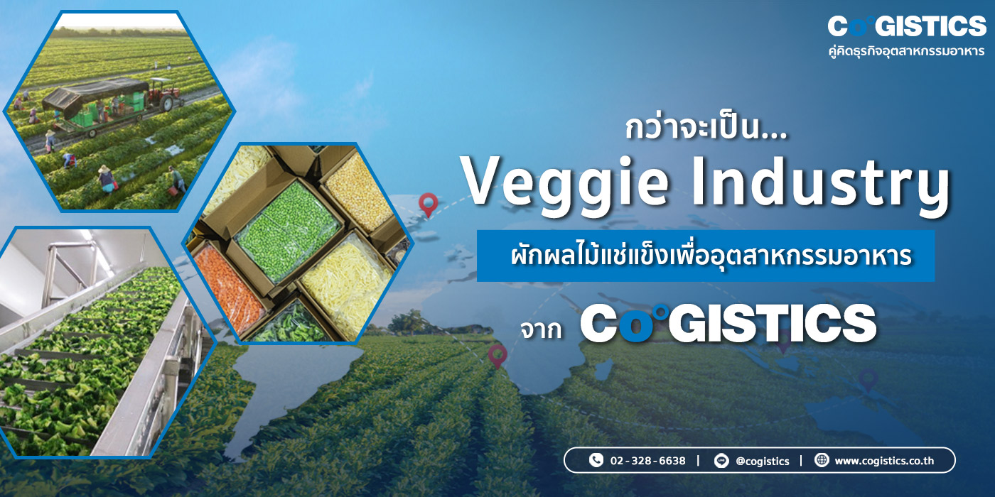 กว่าจะเป็น Veggie Industry ผักผลไม้แช่แข็งเพื่ออุตสาหกรรมอาหารจาก Cogistics