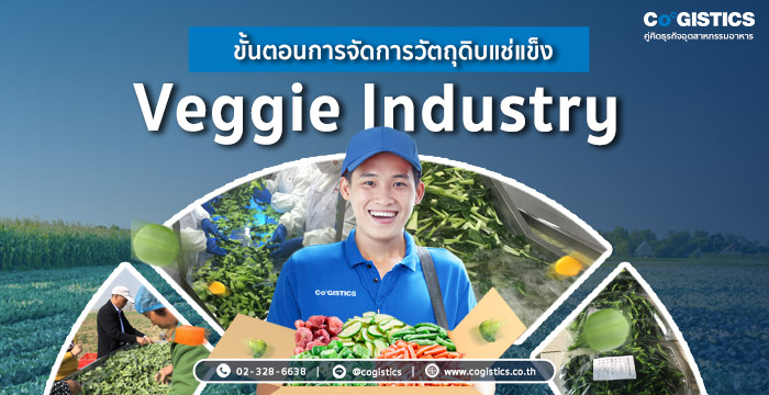 ขั้นตอนการจัดการวัตถุดิบแช่แข็ง Veggie Industry