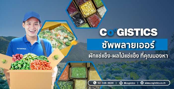 CO-GISTICS ซัพพลายเออร์ผักแช่แข็ง-ผลไม้แช่แข็งเพื่ออุตสาหกรรมอาหาร