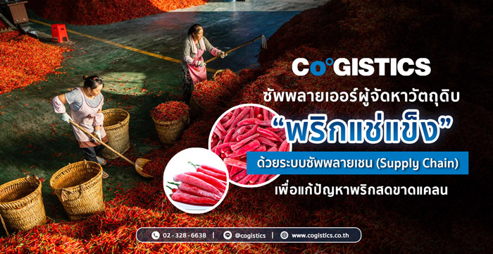 Cogistics ซัพพลายเออร์ผู้จัดหาวัตถุดิบด้วยระบบซัพพลายเชน (Supply Chain)