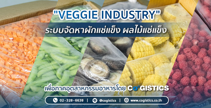 Veggie Industry ระบบจัดหาผักแช่แข็ง ผลไม้แช่แข็ง โดย Cogistics