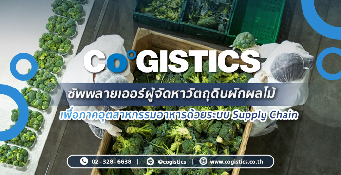 Cogistics ซัพพลายเออร์ผู้จัดหาวัตถุดิบผักผลไม้เพื่อภาคอุตสาหกรรมอาหารด้วยระบบ Supply Chain