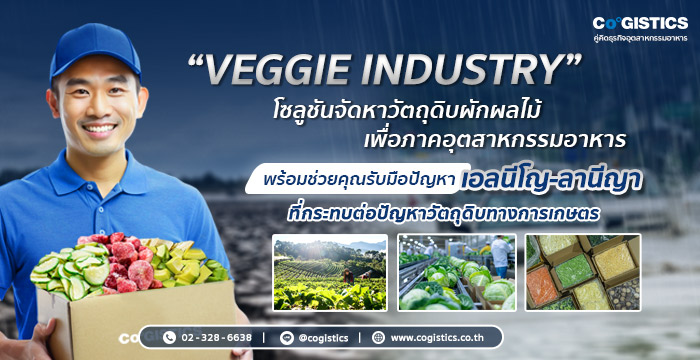 Veggie Industry โซลูชันจัดหาวัตถุดิบผักผลไม้เพื่ออุตสาหกรรมอาหาร