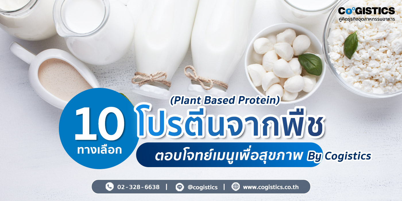 10 ทางเลือกโปรตีนจากพืช (Plant Based Protein) ตอบโจทย์เมนูเพื่อสุขภาพ By Cogistics