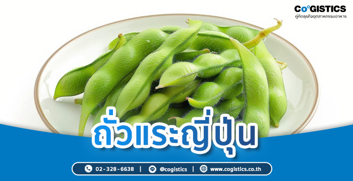 ถั่วแระญี่ปุ่น (โปรตีนจากพืช)
