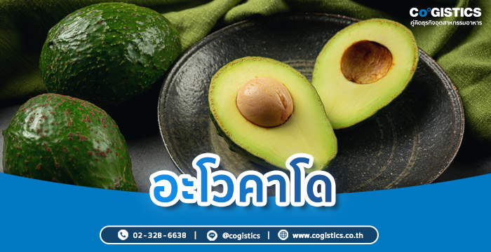 อะโวคาโด (โปรตีนจากพืช)