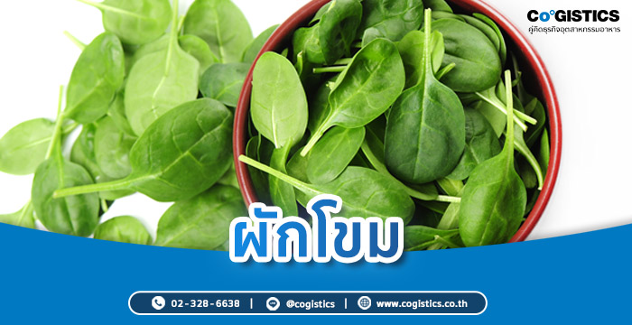 ผักโขม (โปรตีนจากพืช)