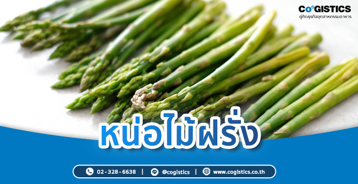 หน่อไม้ฝรั่ง (โปรตีนจากพืช)