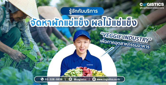 รู้จักกับบริการจัดหาผักแช่แข็ง ผลไม้แช่แข็ง “Veggie Industry” 