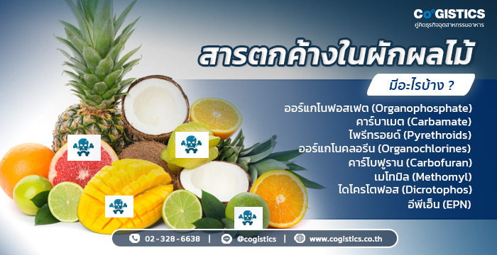 สารตกค้างในผักผลไม้ มีอะไรบ้าง