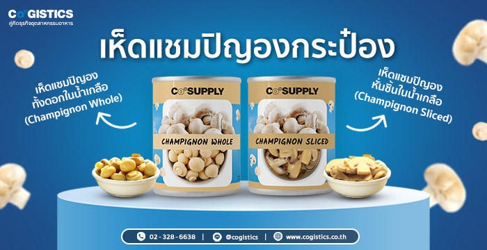 CoSupply เห็ดแชมปิญองกระป๋อง