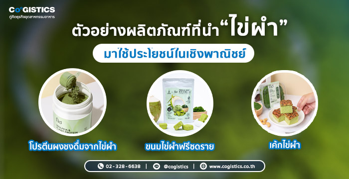 ตัวอย่างผลิตภัณฑ์และการนำไข่ผำมาใช้ประโยชน์ในเชิงพาณิชย์