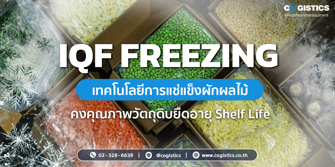 IQF Freezing : เทคโนโลยีการแช่แข็งผักผลไม้ คงคุณภาพวัตถุดิบยืดอายุ Shelf Life