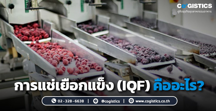 การแช่เยือกแข็ง (IQF) คืออะไร?