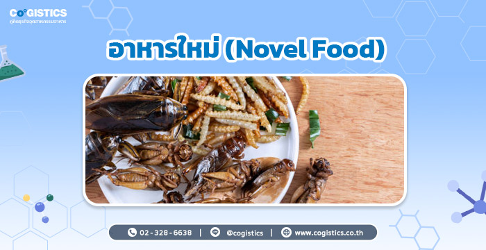 อาหารใหม่ (Novel Food)