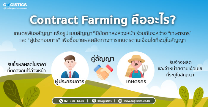 Contract Farming คืออะไร?