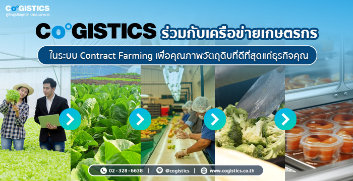 Cogistics ร่วมกับเครือข่ายเกษตรกรในระบบ Contract Farming เพื่อคุณภาพวัตถุดิบที่ดีที่สุดแก่ธุรกิจคุณ