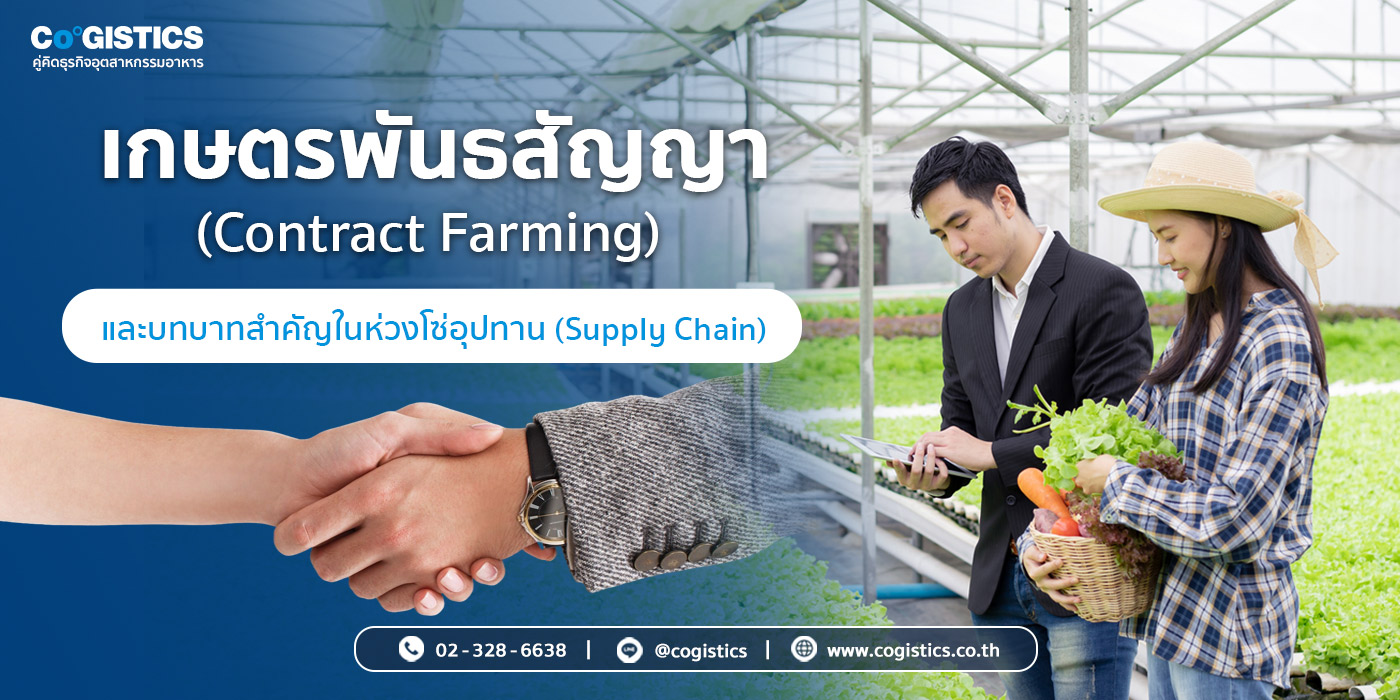 เกษตรพันธสัญญา (Contract Farming) และบทบาทสำคัญในห่วงโซ่อุปทาน (Supply Chain)