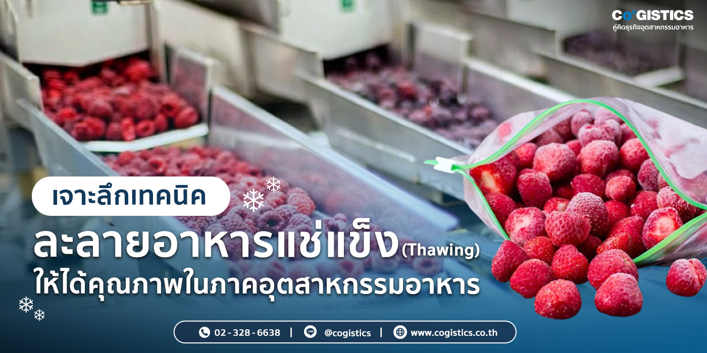 เจาะลึกเทคนิคละลายอาหารแช่แข็ง (Thawing) ให้ได้คุณภาพในภาคอุตสาหกรรมอาหาร