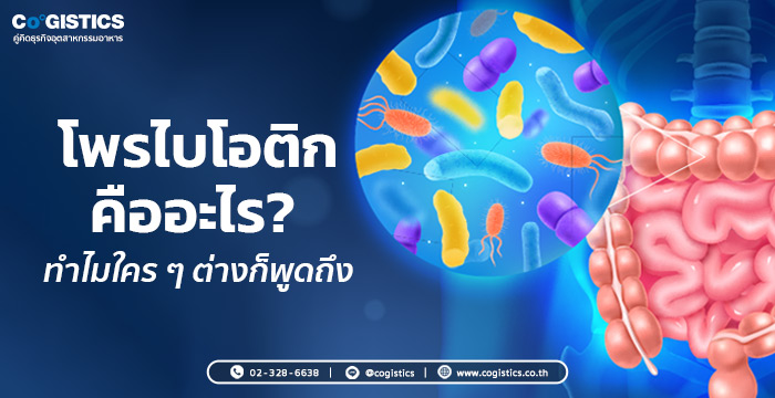 โพรไบโอติกคืออะไร? ทำไมใคร ๆ ต่างก็พูดถึง
