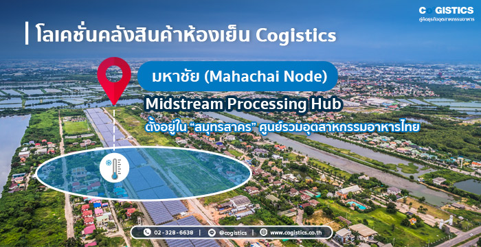 มหาชัย (Mahachai Node) – Midstream Processing Hub