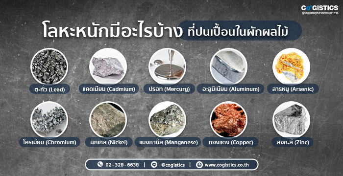 โลหะหนักมีอะไรบ้าง และผลกระทบต่อร่างกาย