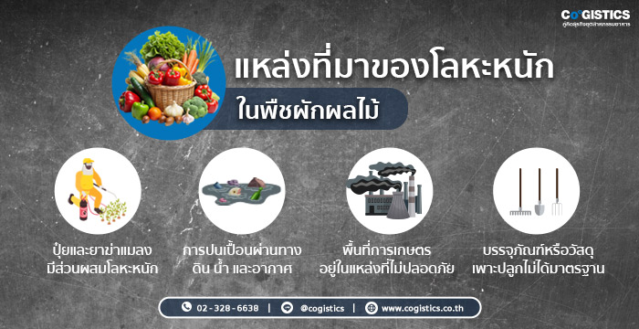 แหล่งที่มาของโลหะหนักในพืชผักผลไม้