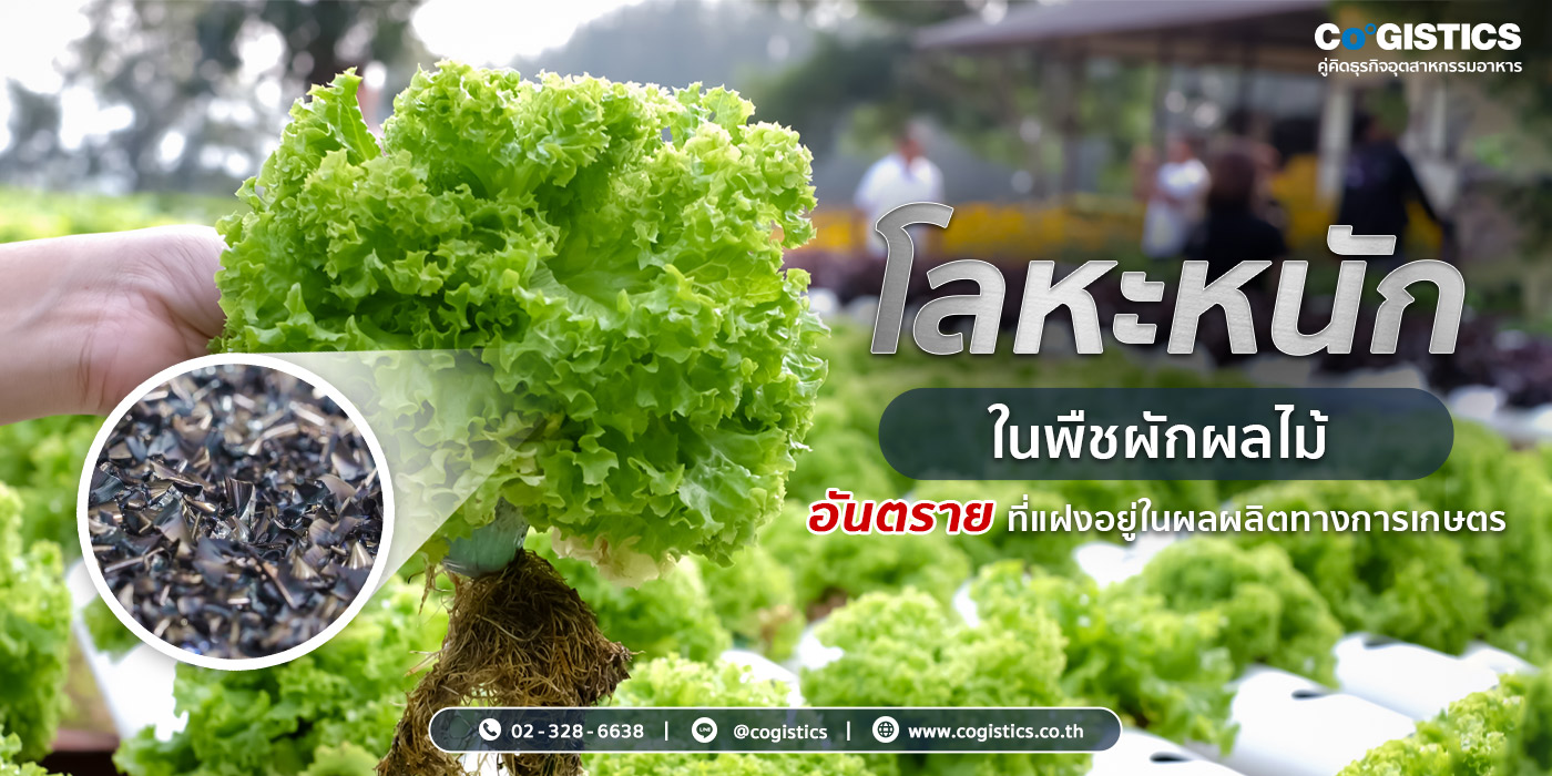 “โลหะหนักในพืชผักผลไม้” อันตรายที่แฝงอยู่ในผลผลิตทางการเกษตร