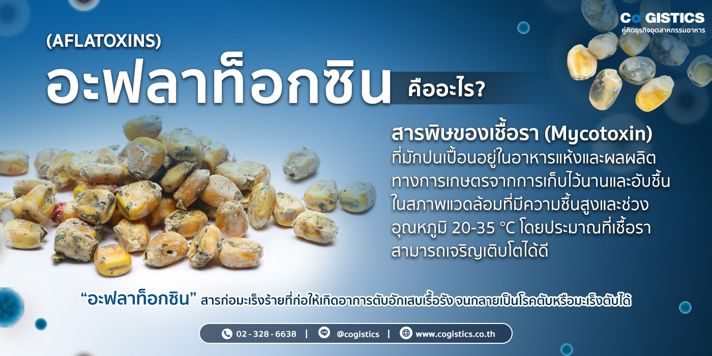 อะฟลาท็อกซิน (Aflatoxins) คืออะไร?