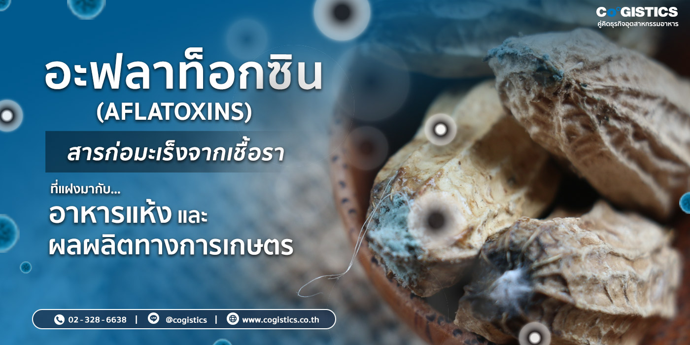 อะฟลาท็อกซิน (Aflatoxins) สารก่อมะเร็งจากเชื้อราที่แฝงมากับอาหารแห้งและผลผลิตทางการเกษตร