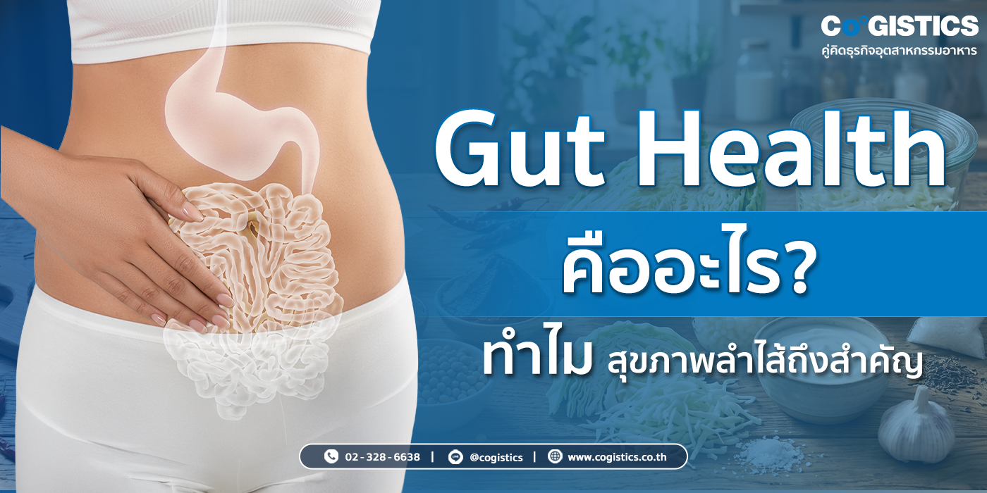 Gut Health คืออะไร? ทำไมสุขภาพลำไส้ถึงสำคัญ