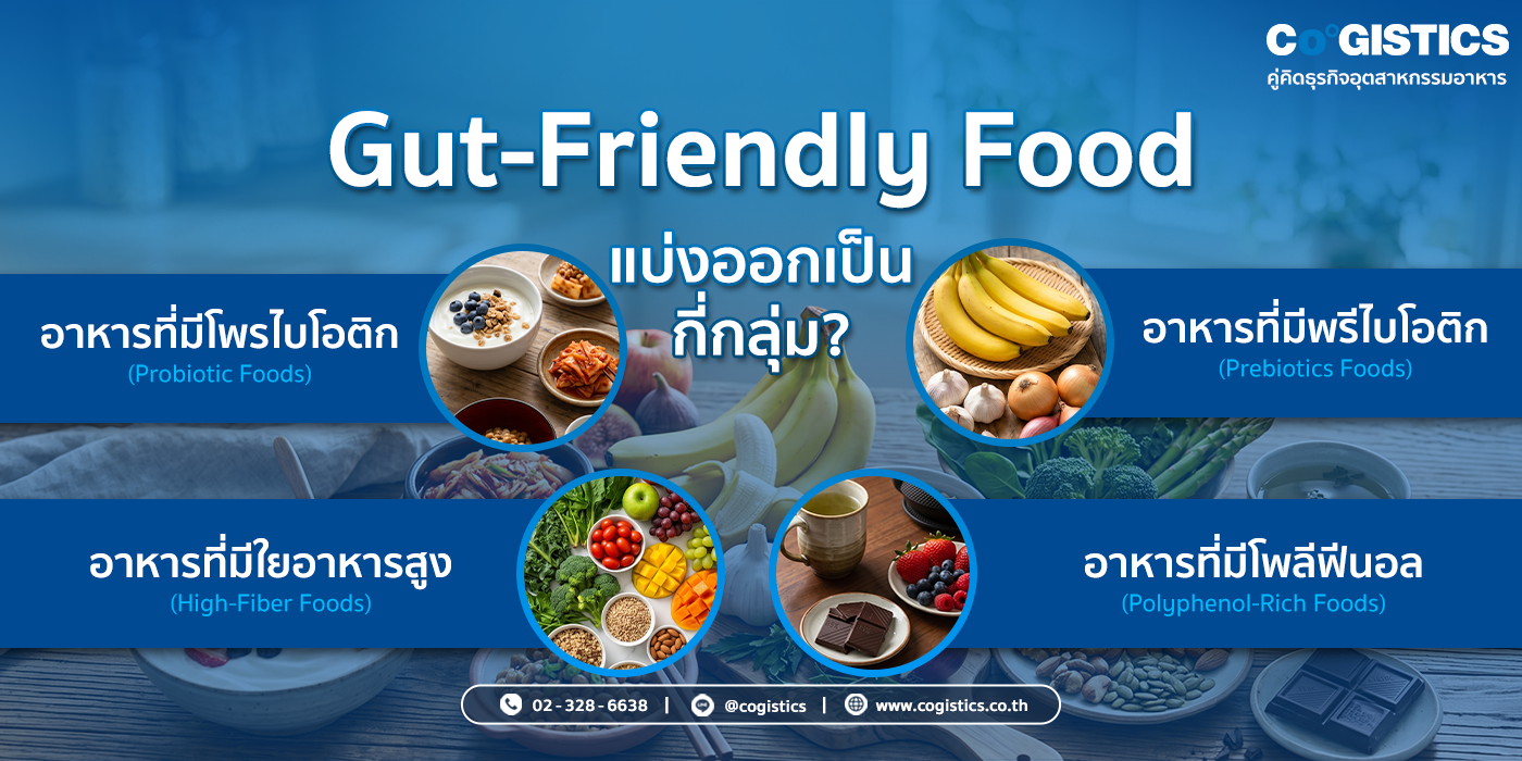 Gut-Friendly Food แบ่งออกเป็นกี่กลุ่ม?
