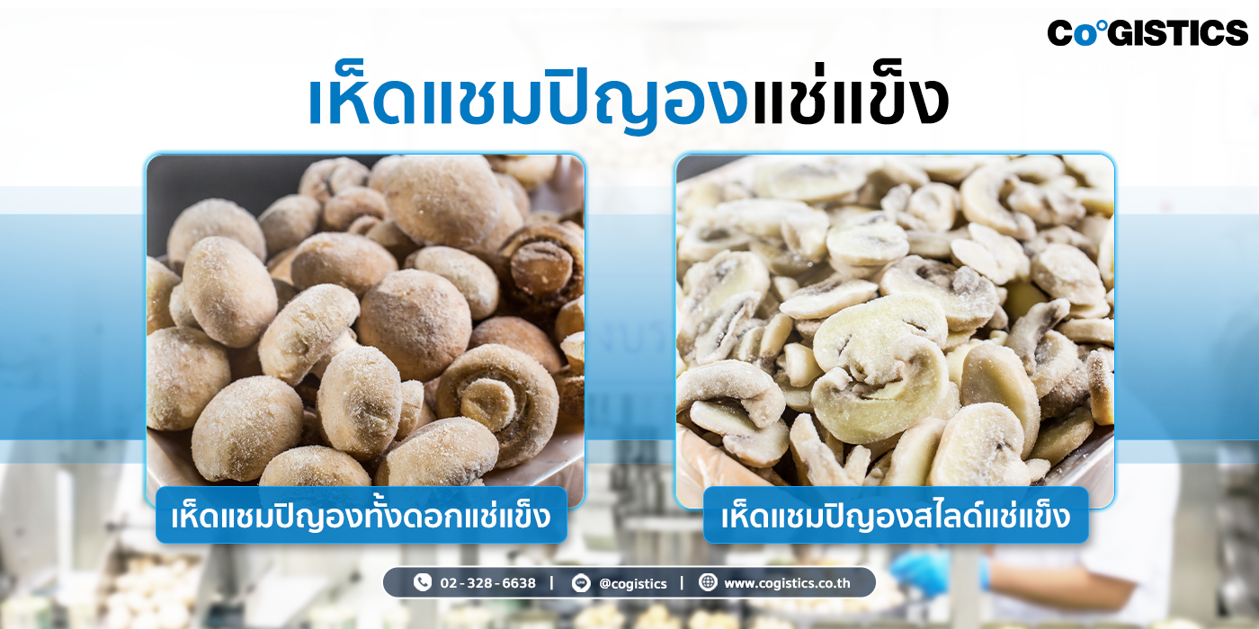 เห็ดแชมปิญองแช่แข็ง (Frozen Champignon Mushrooms)