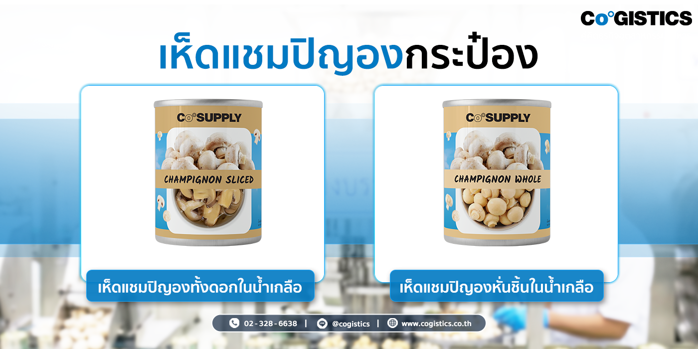 เห็ดแชมปิญองกระป๋อง (Canned Champignon Mushrooms)