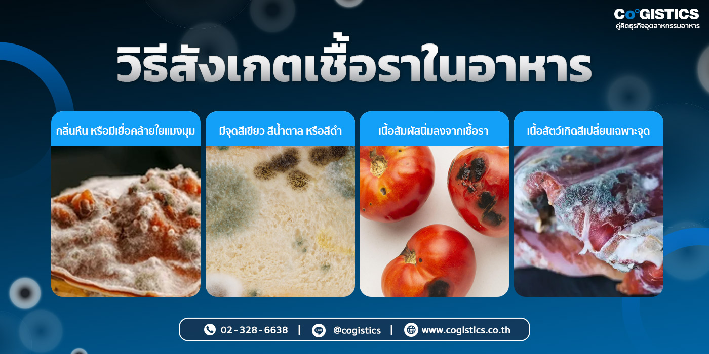 วิธีสังเกตเชื้อราในอาหาร