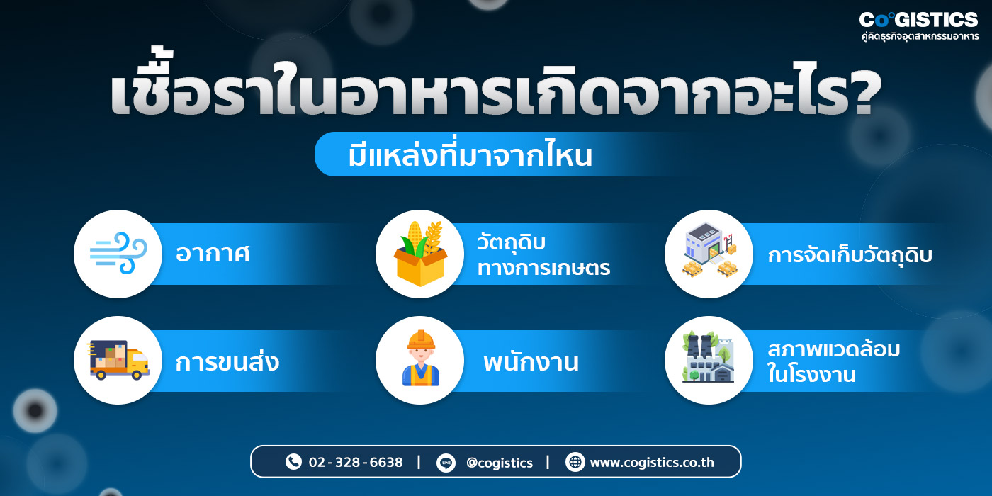 แหล่งที่มาของเชื้อราในอุตสาหกรรมอาหาร