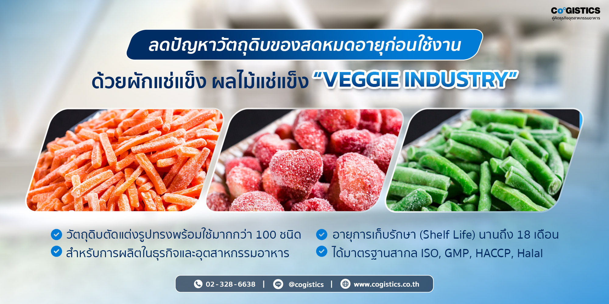 ลดปัญหาวัตถุดิบของสดหมดอายุก่อนใช้งาน ด้วยผักแช่แข็ง ผลไม้แช่แข็ง “VEGGIE INDUSTRY”