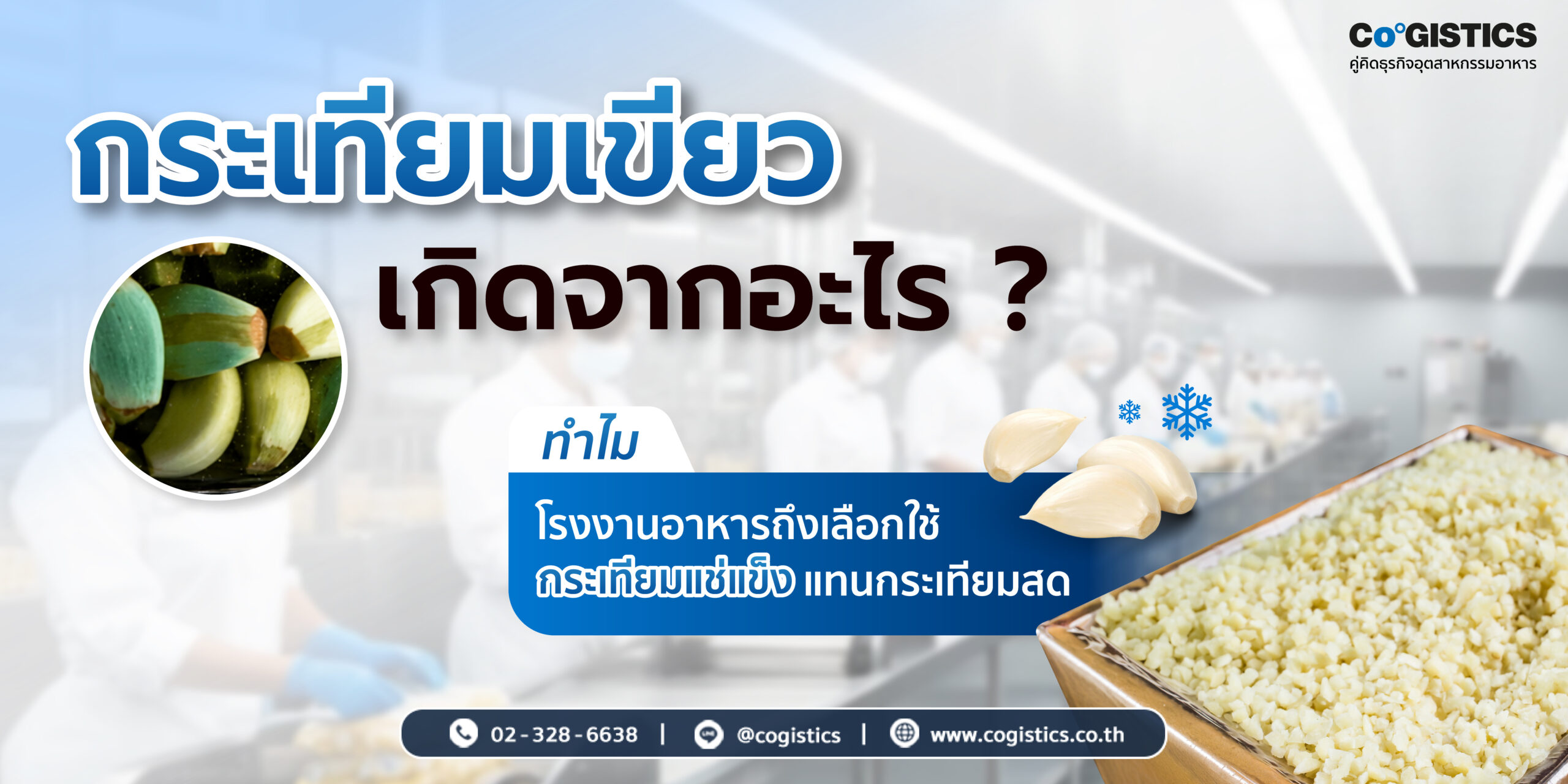 กระเทียมเขียวเกิดจากอะไร? ทำไมโรงงานอาหารถึงเลือกใช้กระเทียมแช่แข็งแทนกระเทียมสด