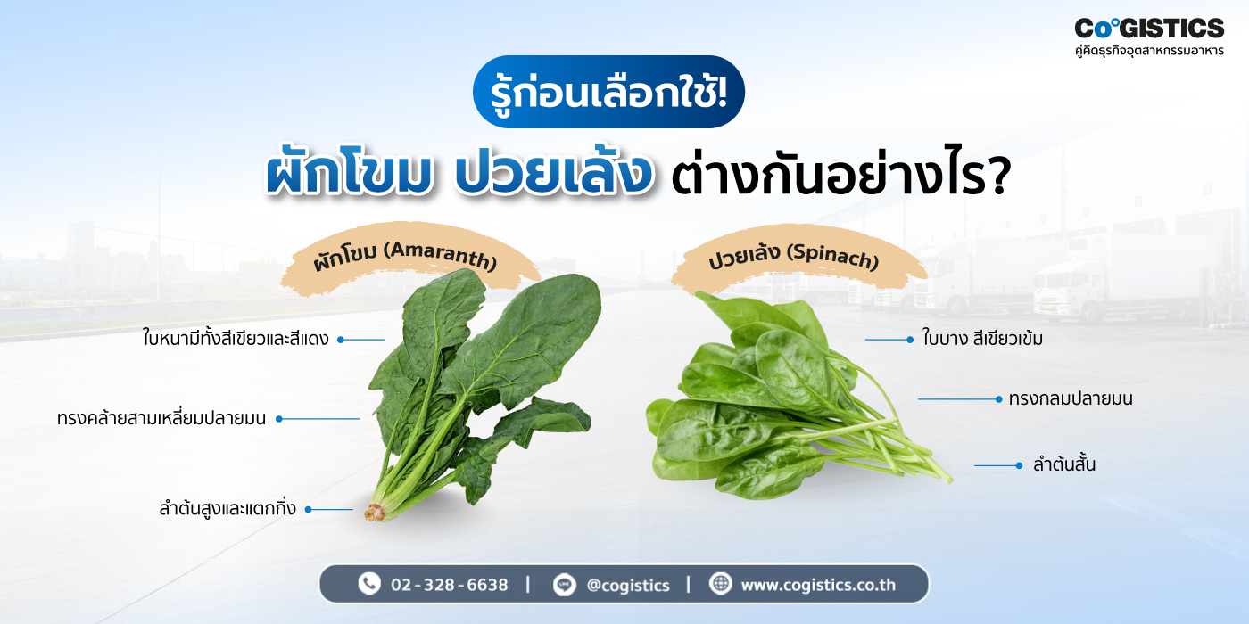 รู้ก่อนเลือกใช้! ผักโขม ปวยเล้ง ต่างกันอย่างไร?