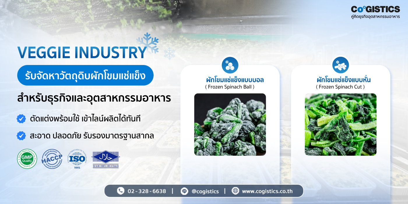 VEGGIE INDUSTRY รับจัดหาวัตถุดิบผักโขมแช่แข็งสำหรับธุรกิจและอุตสาหกรรมอาหาร