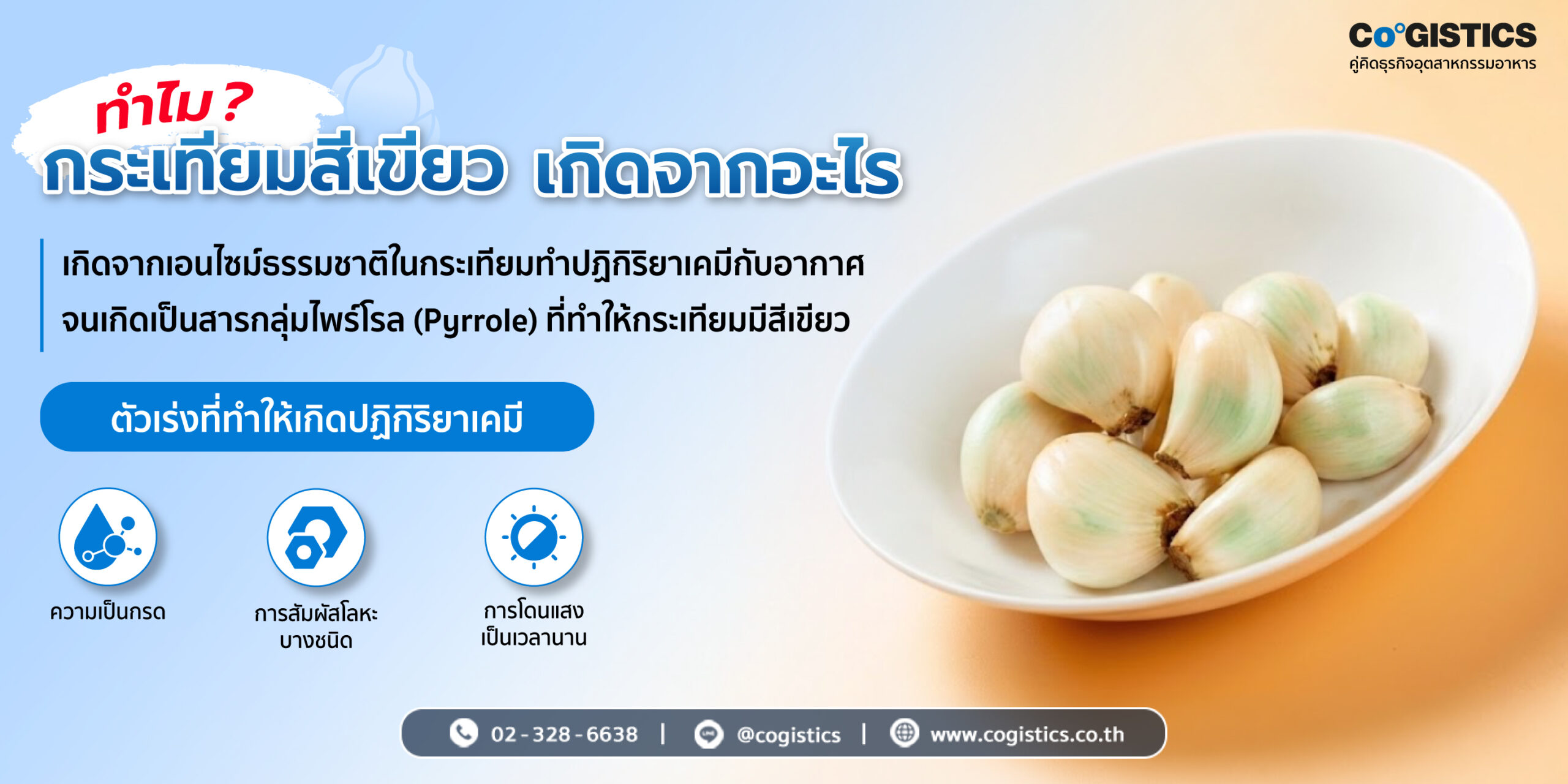 ทําไมกระเทียมสีเขียว เกิดจากอะไร?