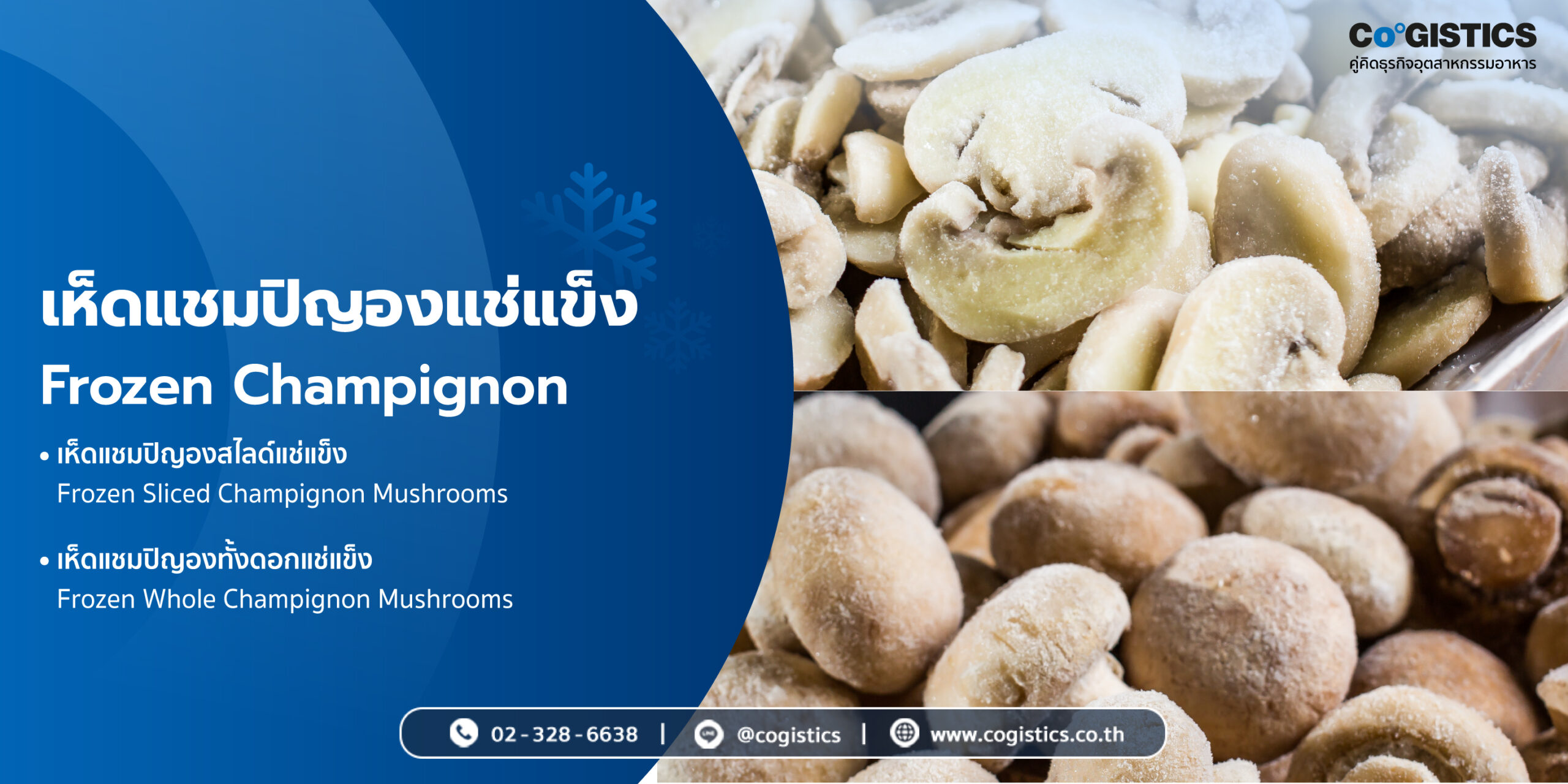 เห็ดแชมปิญองแช่แข็ง (Frozen Champignon)