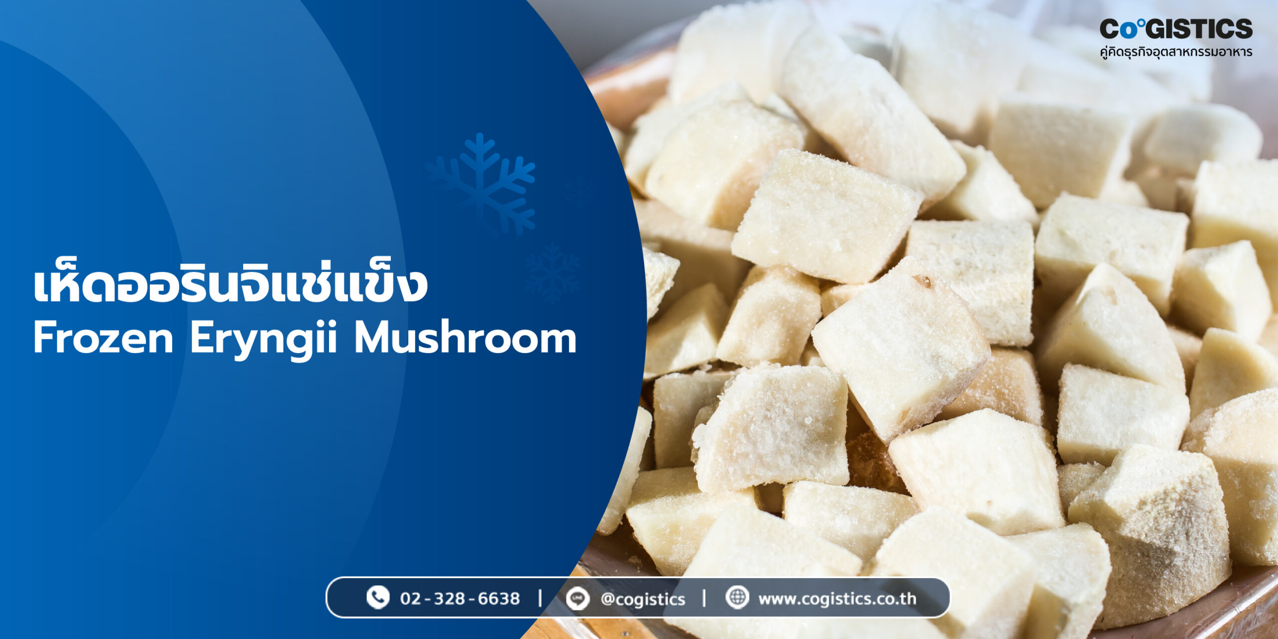 เห็ดออรินจิแช่แข็ง (Frozen Eryngii Mushroom)