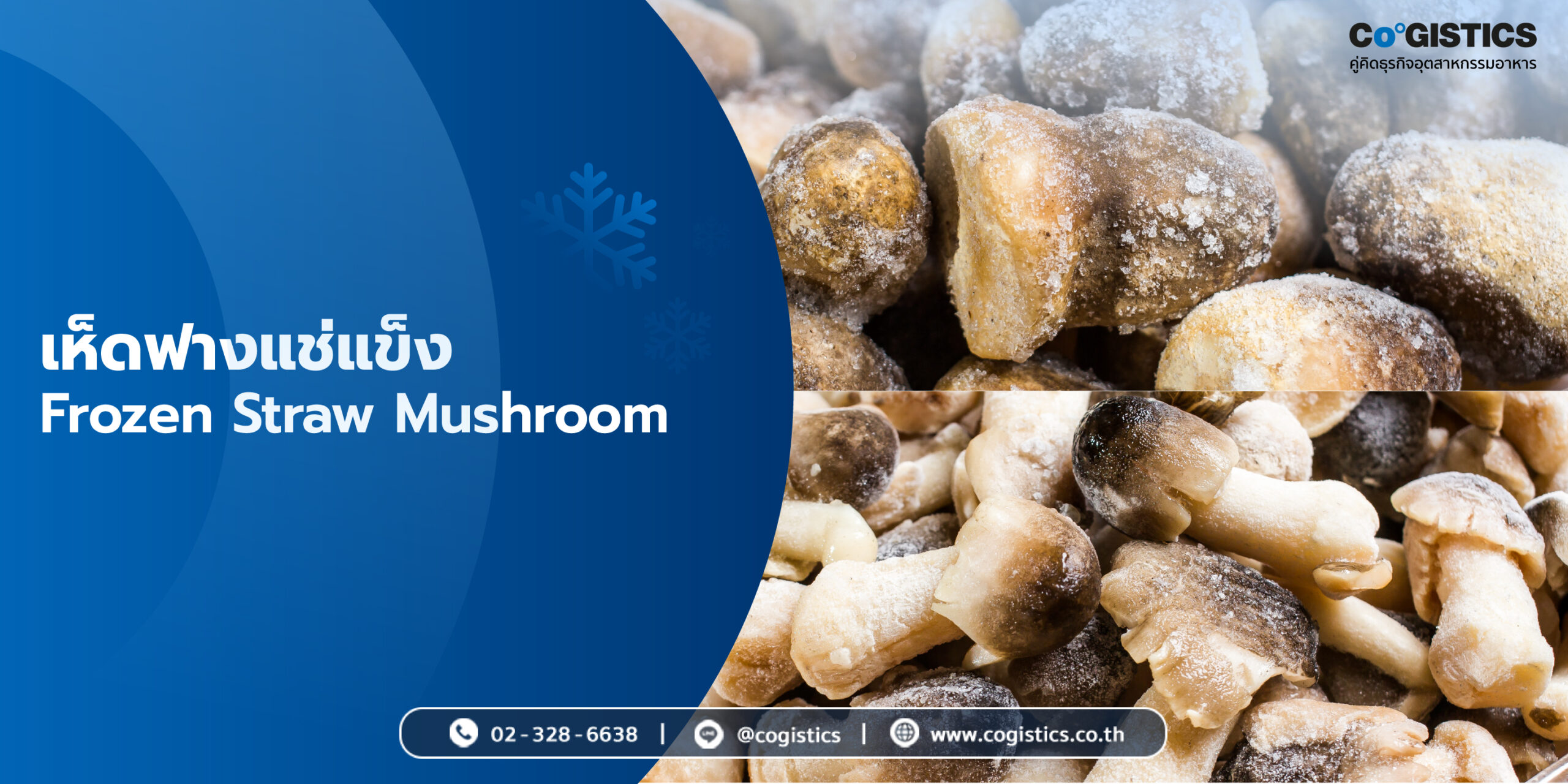 เห็ดฟางแช่แข็ง (Frozen Straw Mushroom)