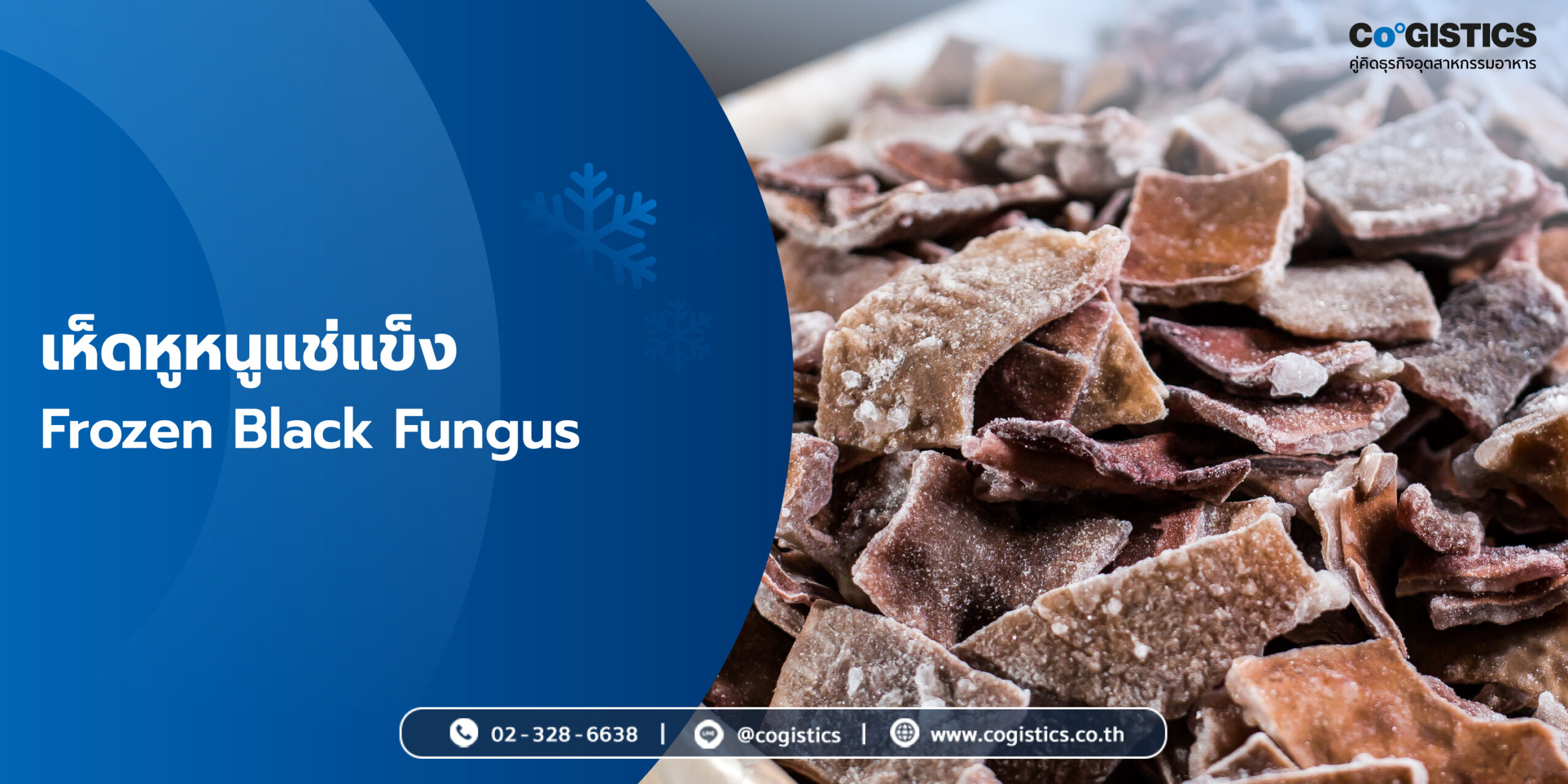 เห็ดหูหนูแช่แข็ง (Frozen Black Fungus)