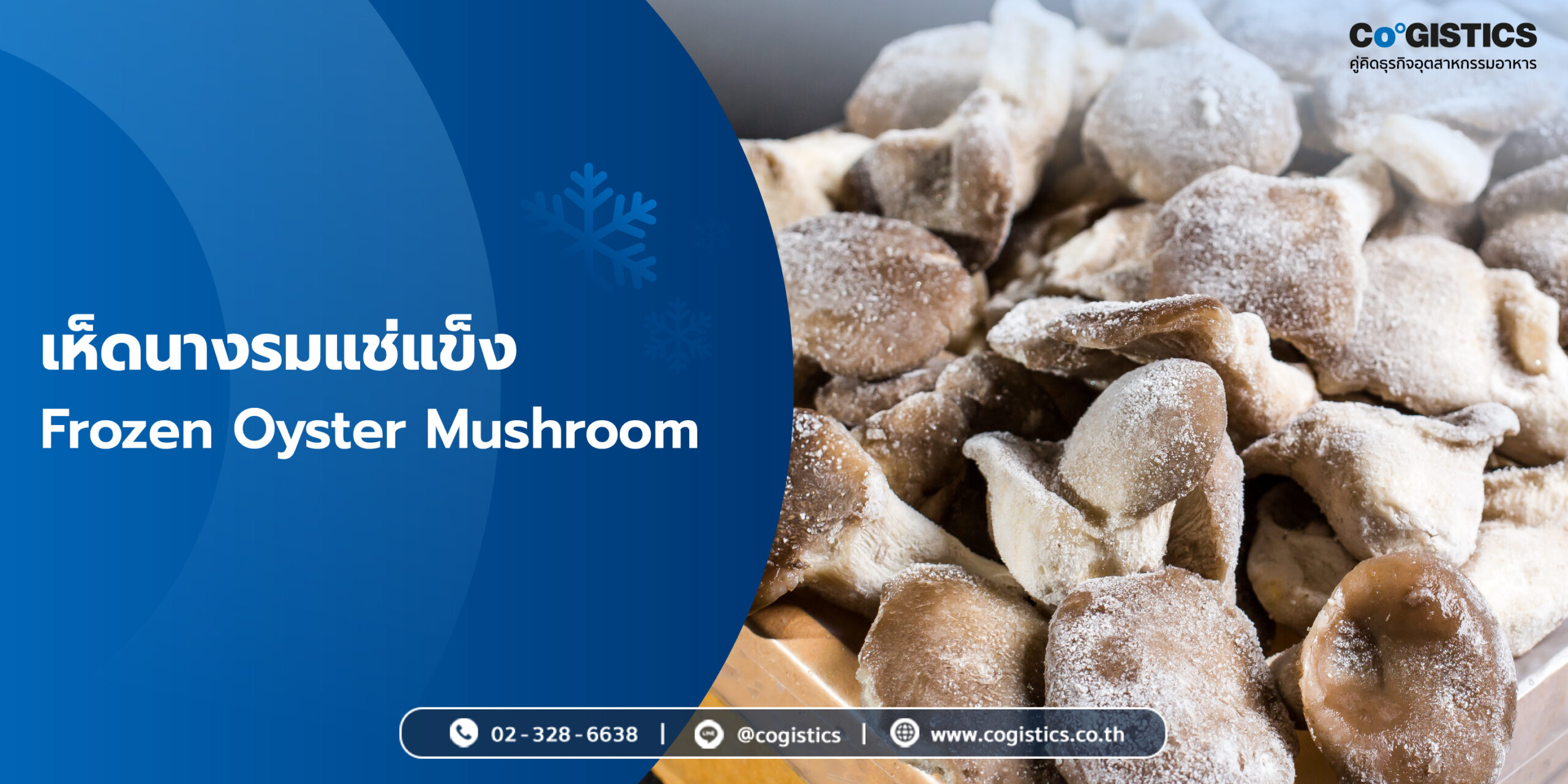 เห็ดนางรมแช่แข็ง (Frozen Oyster Mushroom)