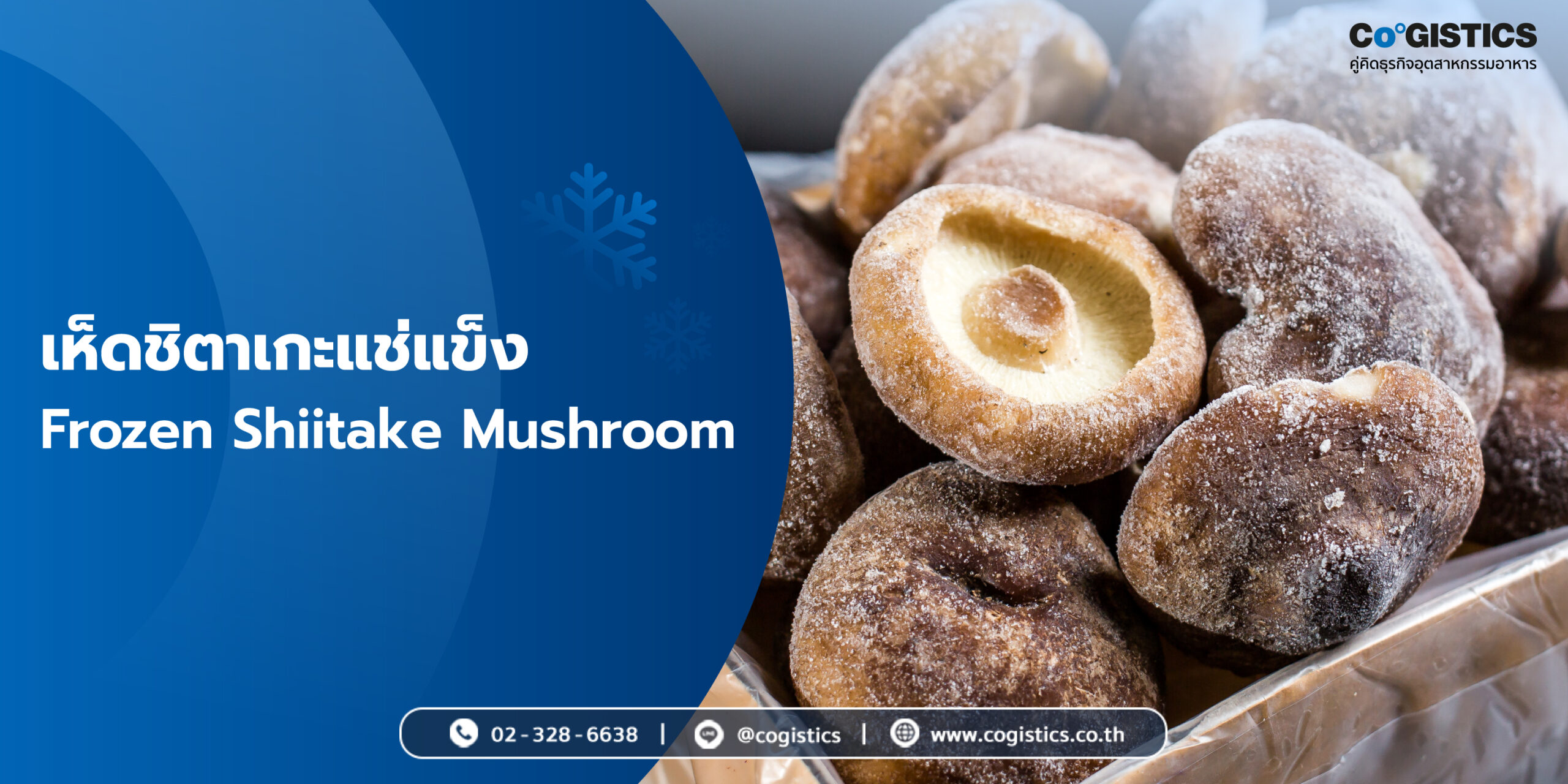 เห็ดชิตาเกะแช่แข็ง (Frozen Shiitake Mushroom)