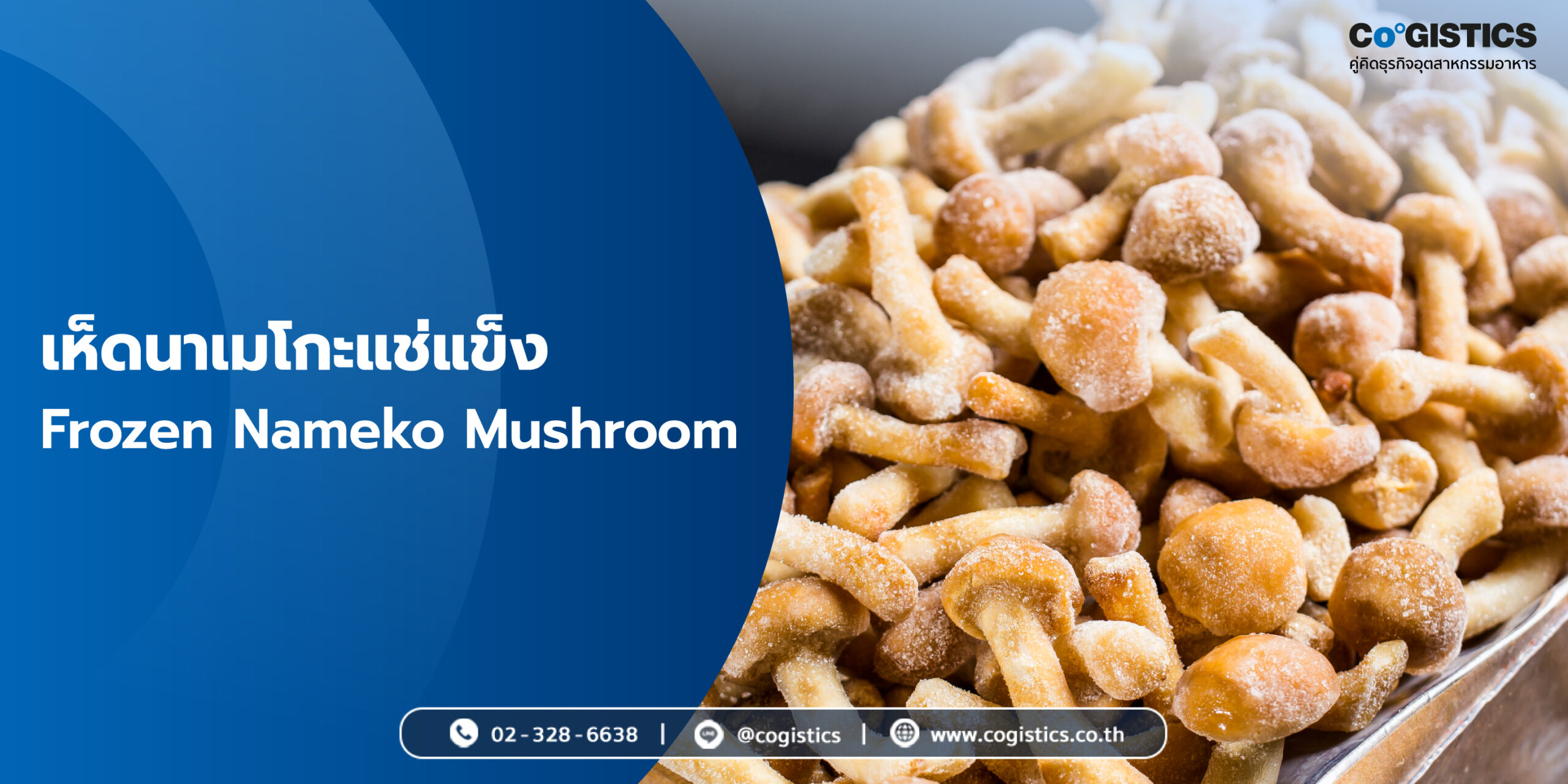 เห็ดนาเมโกะแช่แข็ง (Frozen Nameko Mushroom)