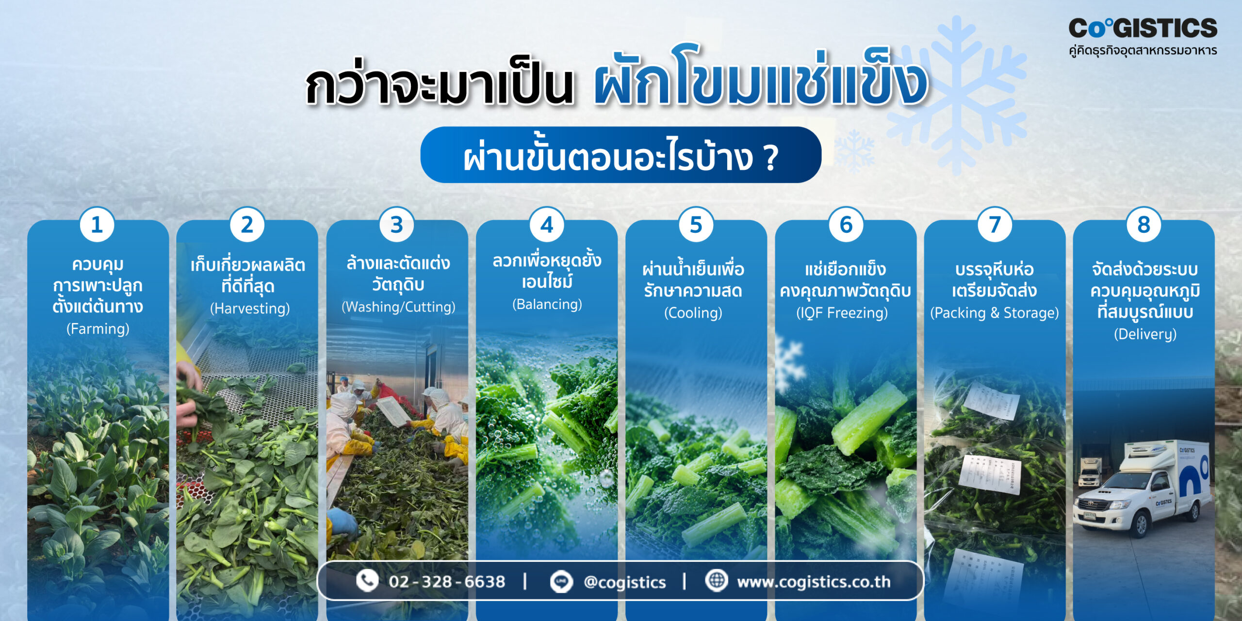 กว่าจะมาเป็น “ผักโขมแช่แข็ง” ผ่านขั้นตอนอะไรมาบ้าง?