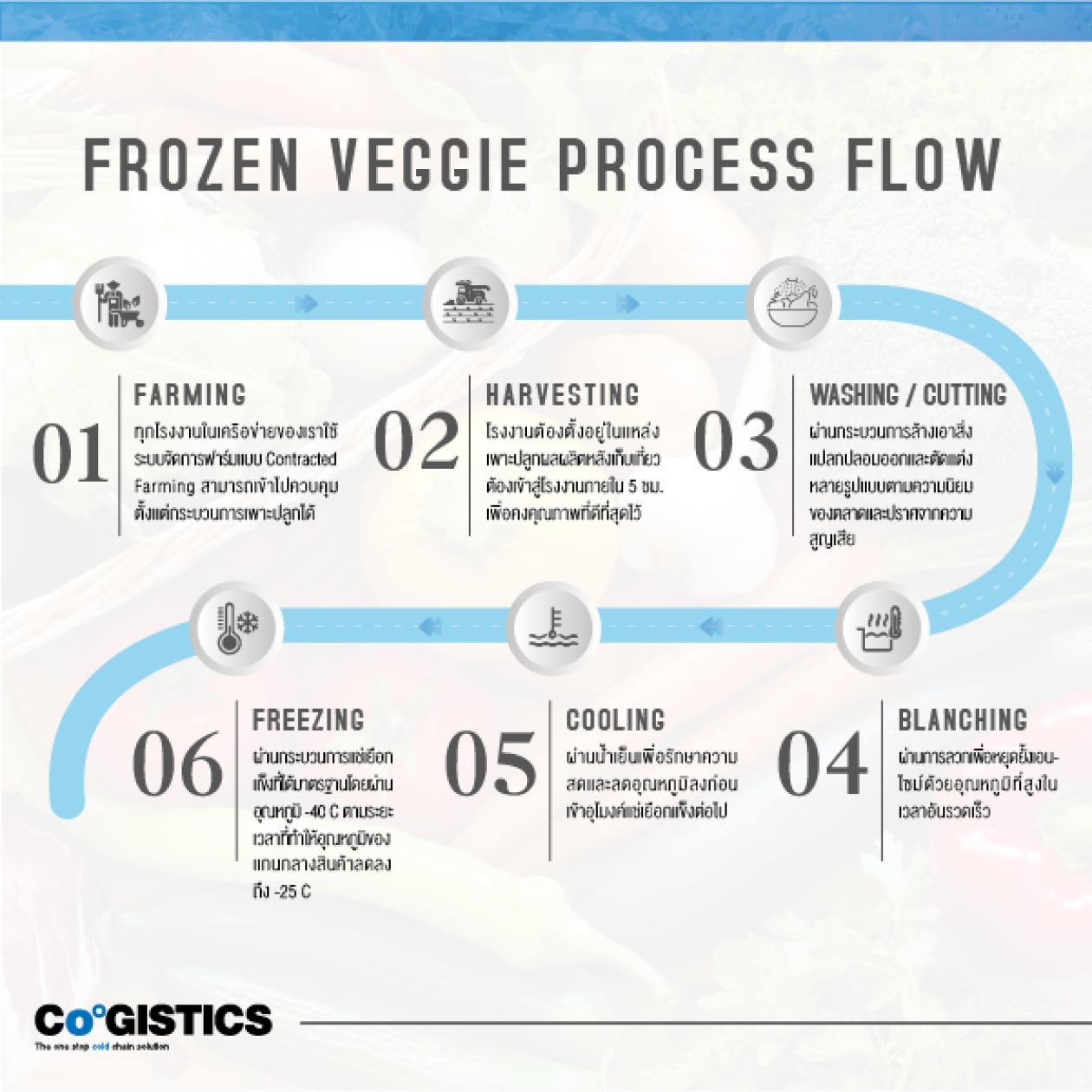 Drop1-Veggie-process-flow-low-1